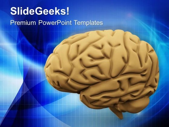 Image Of Human Brain Medical PowerPoint Templates Ppt Backgrounds For Slides 0713 Image Of Human Brain Medical PowerPoint Templates Ppt Backgrounds For Slides 0713