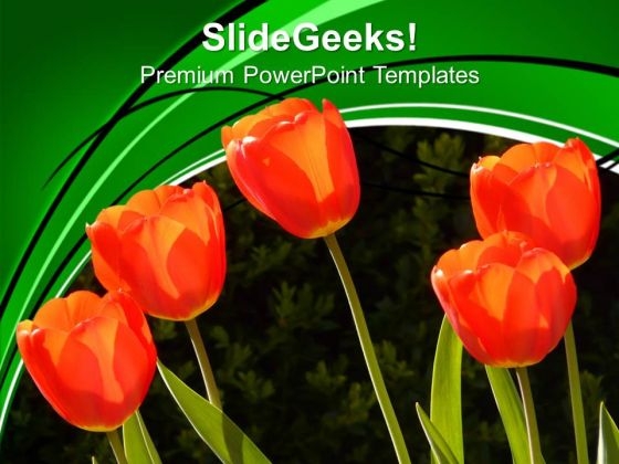 Image Of Red Tulips PowerPoint Templates Ppt Backgrounds For Slides 0213 Image Of Red Tulips PowerPoint Templates Ppt Backgrounds For Slides 0213