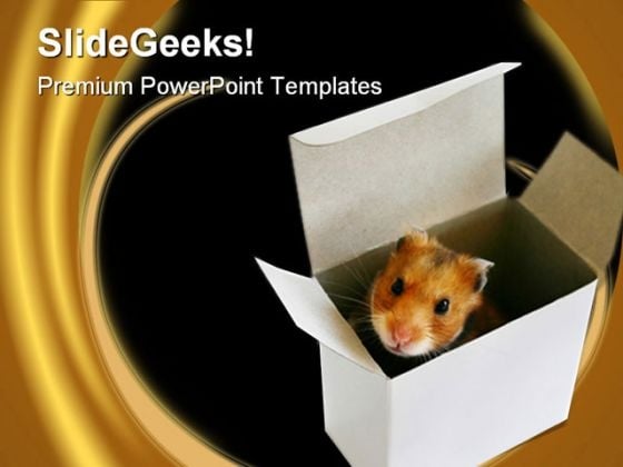 Inside The Box Metaphor PowerPoint Themes And PowerPoint Slides 0211 Inside The Box Metaphor PowerPoint Themes And PowerPoint Slides 0211