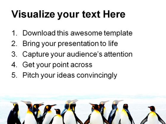 kings_of_the_beach_animals_powerpoint_template_1110_print