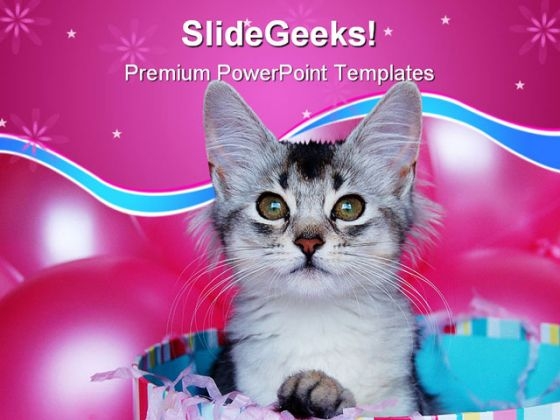 Kitten Surprise Animals PowerPoint Templates And PowerPoint Backgrounds 0511 Kitten Surprise Animals PowerPoint Templates And PowerPoint Backgrounds 0511