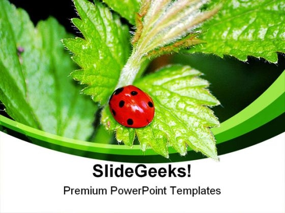 Lady Bird On Plant Nature PowerPoint Themes And PowerPoint Slides 0211 Lady Bird On Plant Nature PowerPoint Themes And PowerPoint Slides 0211