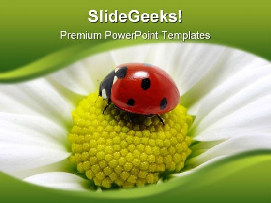 Lady Bug On Flower Animals PowerPoint Themes And PowerPoint Slides 0211 Lady Bug On Flower Animals PowerPoint Themes And PowerPoint Slides 0211