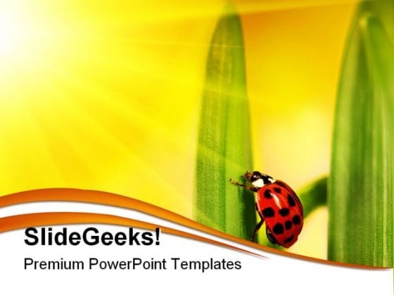 Lady Bug Struggling Nature PowerPoint Templates And PowerPoint Backgrounds 0211