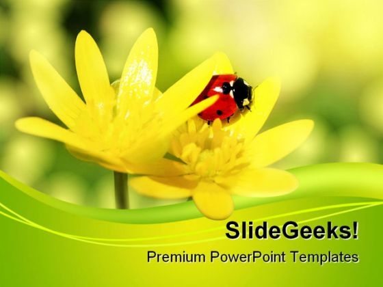 Ladybird Animals PowerPoint Themes And PowerPoint Slides 0511 Ladybird Animals PowerPoint Themes And PowerPoint Slides 0511