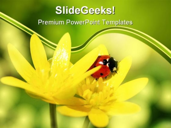 Ladybird On Yellow Petals Nature PowerPoint Templates And PowerPoint Backgrounds 0211 Ladybird On Yellow Petals Nature PowerPoint Templates And PowerPoint Backgrounds 0211