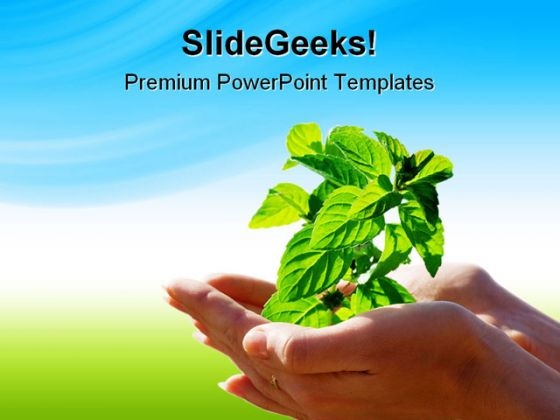 Leaf In Hands Environment PowerPoint Templates And PowerPoint Backgrounds  0711 - PowerPoint Templates