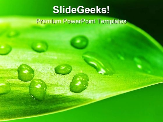 Leaf With Drops Nature PowerPoint Template 0910 Leaf With Drops Nature PowerPoint Template 0910