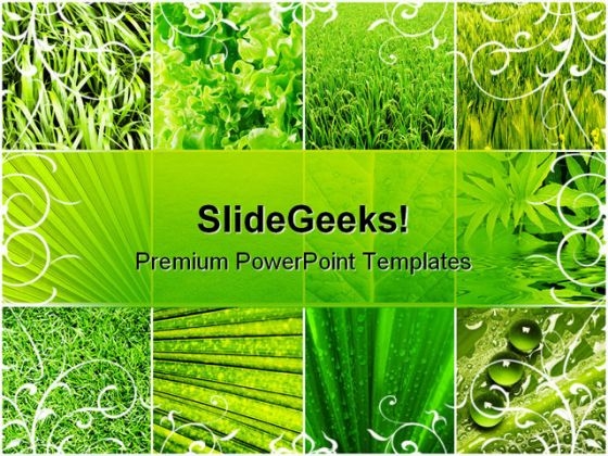 Leaves Collage Nature PowerPoint Template 0810