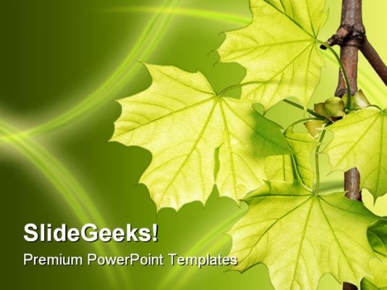 Leaves Green Nature PowerPoint Template 1110 - PowerPoint Templates