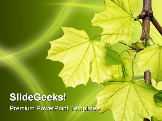 Leaves Green Nature PowerPoint Template 1110 Leaves Green Nature PowerPoint Template 1110