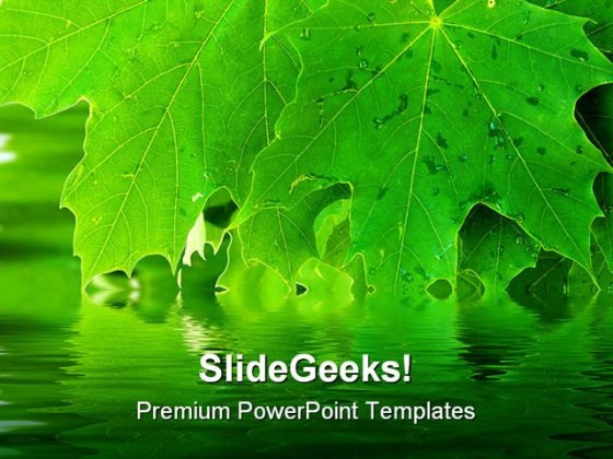 Leaves Reflection Nature PowerPoint Template 1110 Leaves Reflection Nature PowerPoint Template 1110
