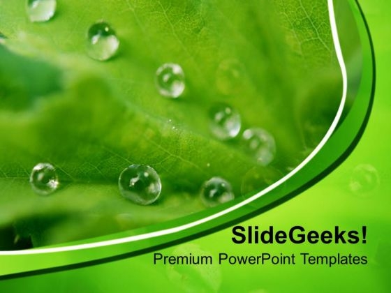Leaves With Drops Nature PowerPoint Templates Ppt Backgrounds For Slides 0213 Leaves With Drops Nature PowerPoint Templates Ppt Backgrounds For Slides 0213