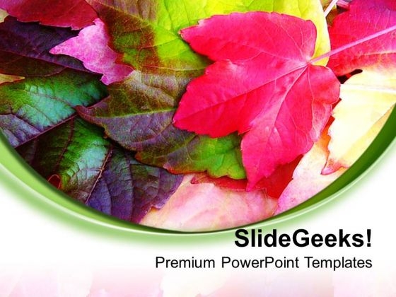 Leaves With White Background Theme PowerPoint Templates Ppt Backgrounds For Slides 0713 Leaves With White Background Theme PowerPoint Templates Ppt Backgrounds For Slides 0713