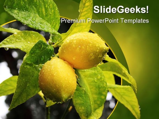 Lemons Food Nature PowerPoint Template 0810