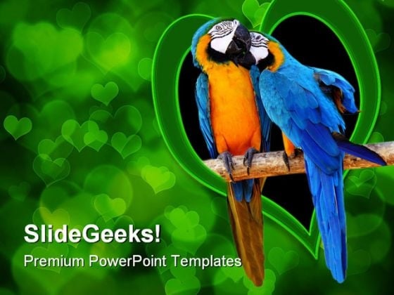 Love Birds Animals PowerPoint Templates And PowerPoint Backgrounds 0111 Love Birds Animals PowerPoint Templates And PowerPoint Backgrounds 0111