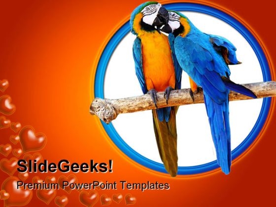 Love Parrots Animals PowerPoint Backgrounds And Templates 1210 Love Parrots Animals PowerPoint Backgrounds And Templates 1210