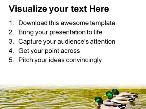 mallard_duck_family_powerpoint_templates_and_powerpoint_backgrounds_0211_print