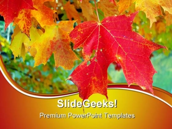 Maple Leaves Nature PowerPoint Templates And PowerPoint Backgrounds 0511