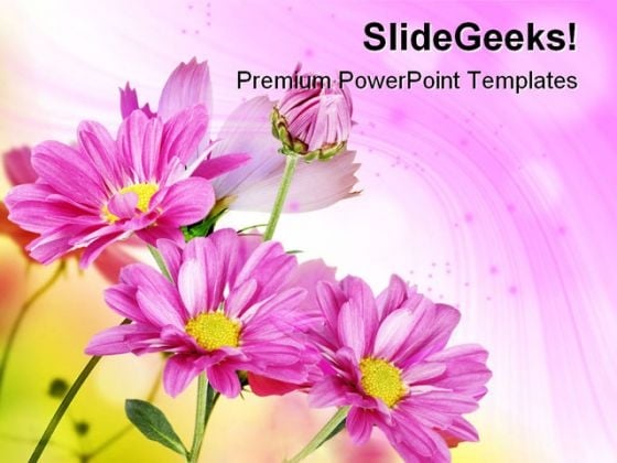 Margherite Flowers Beauty PowerPoint Themes And PowerPoint Slides 0511 Margherite Flowers Beauty PowerPoint Themes And PowerPoint Slides 0511
