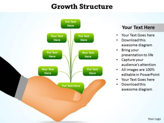 Mba Models And Frameworks Growth Structure Strategy Diagram