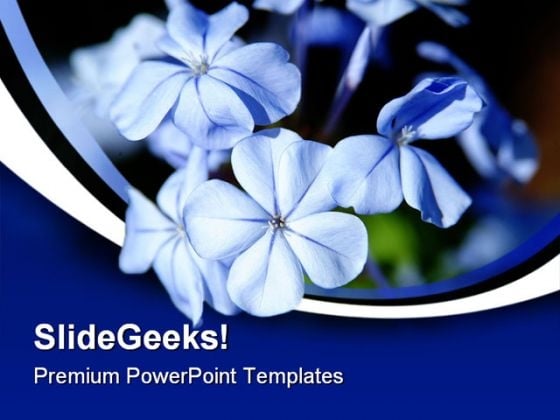 Moonlight Blue Flowers Beauty PowerPoint Templates And PowerPoint Backgrounds 0311 Moonlight Blue Flowers Beauty PowerPoint Templates And PowerPoint Backgrounds 0311