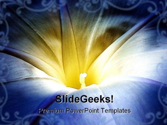 Morning Glory Beauty PowerPoint Background And Template 1210 Morning Glory Beauty PowerPoint Background And Template 1210
