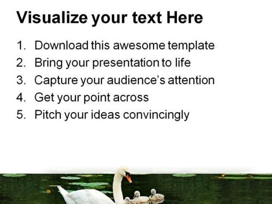 mother_swan_with_babies_family_powerpoint_templates_and_powerpoint_backgrounds_0911_print