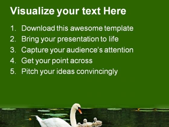 mother_swan_with_babies_family_powerpoint_templates_and_powerpoint_backgrounds_0911_text