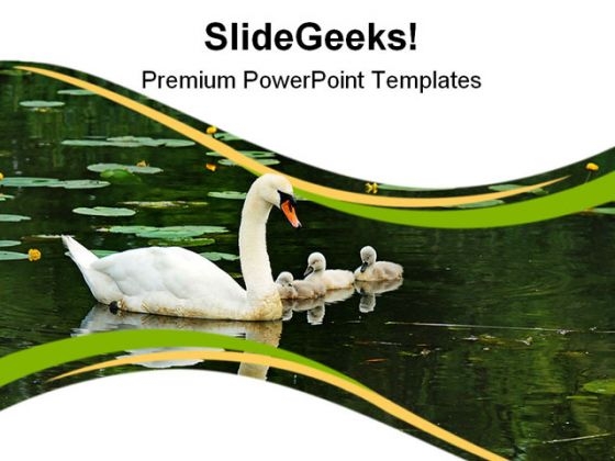 mother_swan_with_babies_family_powerpoint_templates_and_powerpoint_backgrounds_0911_title