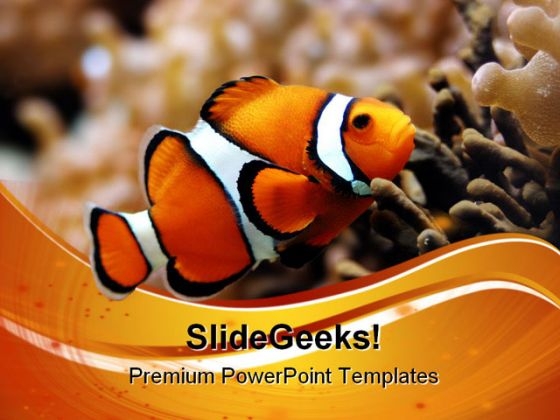 Nemo Animals PowerPoint Templates And PowerPoint Backgrounds 0511 Nemo Animals PowerPoint Templates And PowerPoint Backgrounds 0511