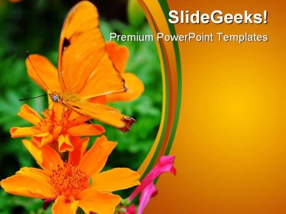 Orange Butterfly Nature PowerPoint Themes And PowerPoint Slides 0211 Orange Butterfly Nature PowerPoint Themes And PowerPoint Slides 0211