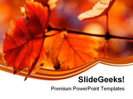 Orange Leaves Nature PowerPoint Themes And PowerPoint Slides 0611