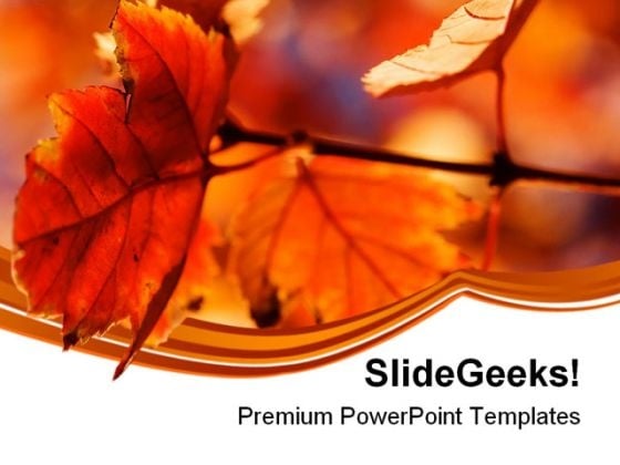 Orange Leaves Nature PowerPoint Themes And PowerPoint Slides 0611 Orange Leaves Nature PowerPoint Themes And PowerPoint Slides 0611