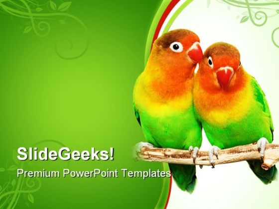Pair Of Lovebirds Animals PowerPoint Themes And PowerPoint Slides 0611 Pair Of Lovebirds Animals PowerPoint Themes And PowerPoint Slides 0611