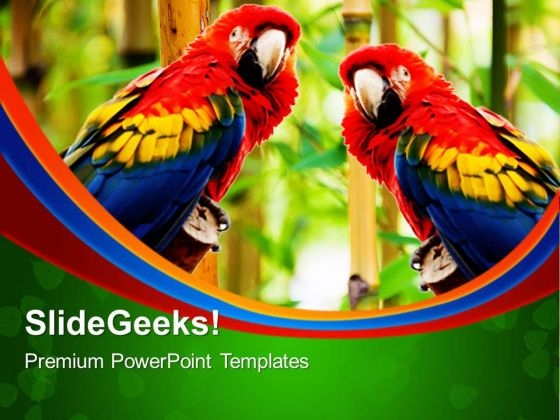 Pair Of Parrot Animals PowerPoint Templates And PowerPoint Themes 0512 Pair Of Parrot Animals PowerPoint Templates And PowerPoint Themes 0512
