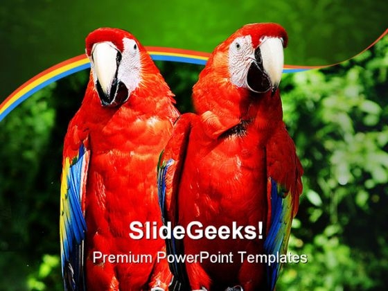 Parrots Animals PowerPoint Template 0910 Parrots Animals PowerPoint Template 0910