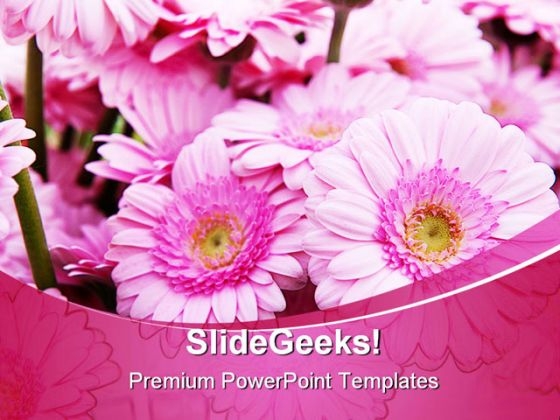 Pink Bouquet Beauty PowerPoint Backgrounds And Templates 0111 Pink Bouquet Beauty PowerPoint Backgrounds And Templates 0111