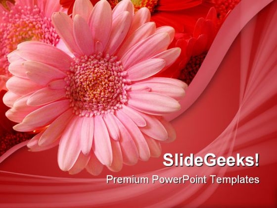 Pink Flower Beauty PowerPoint Template 1110 Pink Flower Beauty PowerPoint Template 1110