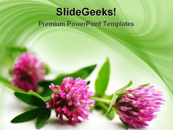 Pink Flowers Beauty PowerPoint Template 1110 Pink Flowers Beauty PowerPoint Template 1110