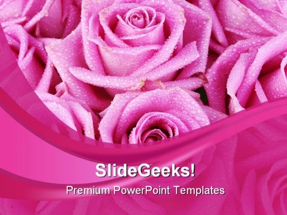 Pink Rose Abstract Beauty PowerPoint Templates And PowerPoint Backgrounds 0411