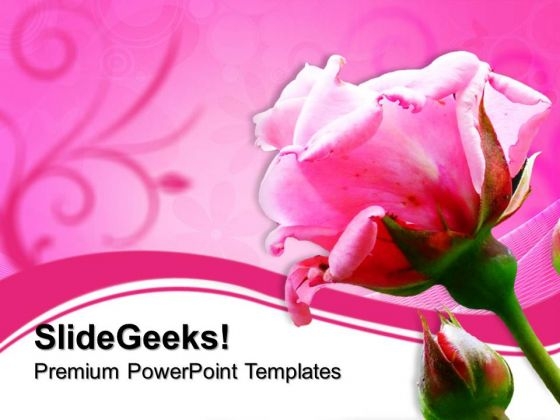 Pink Rose Beauty PowerPoint Templates And PowerPoint Themes 0612 Pink Rose Beauty PowerPoint Templates And PowerPoint Themes 0612