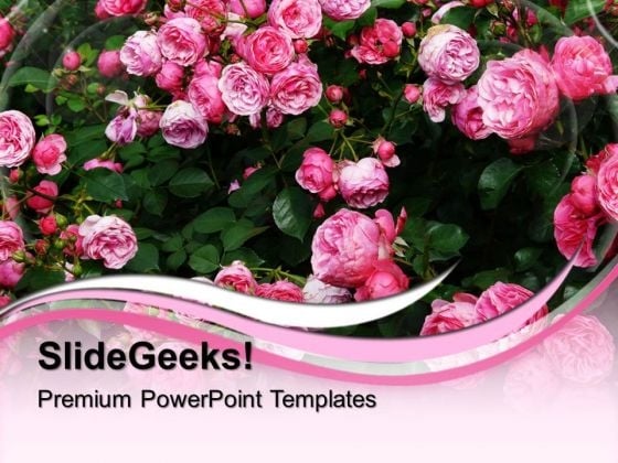 Pink Roses Garden PowerPoint Templates And PowerPoint Themes 0512