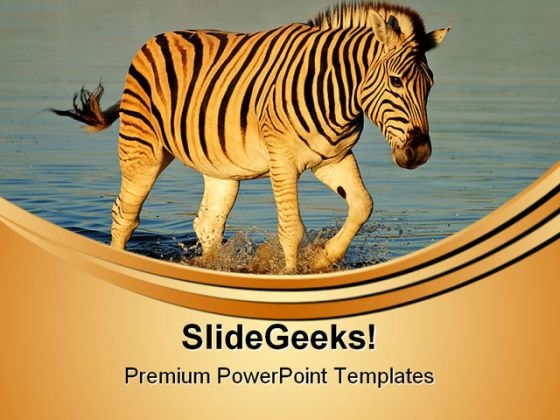 Plains Zebras Animals PowerPoint Templates And PowerPoint Backgrounds 0611 Plains Zebras Animals PowerPoint Templates And PowerPoint Backgrounds 0611