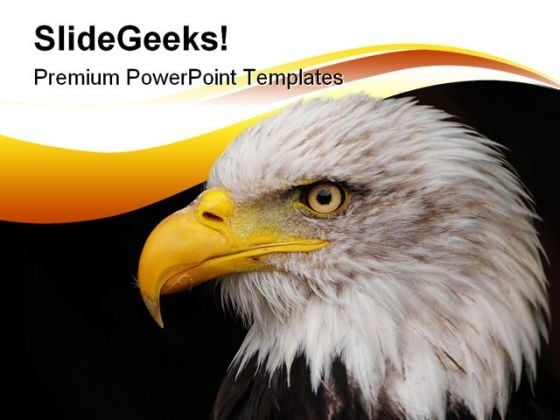 Portrait Of Eagle Animals PowerPoint Template 1110 Portrait Of Eagle Animals PowerPoint Template 1110