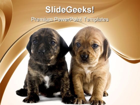 Puppy Brothers Animals PowerPoint Themes And PowerPoint Slides 0711 Puppy Brothers Animals PowerPoint Themes And PowerPoint Slides 0711