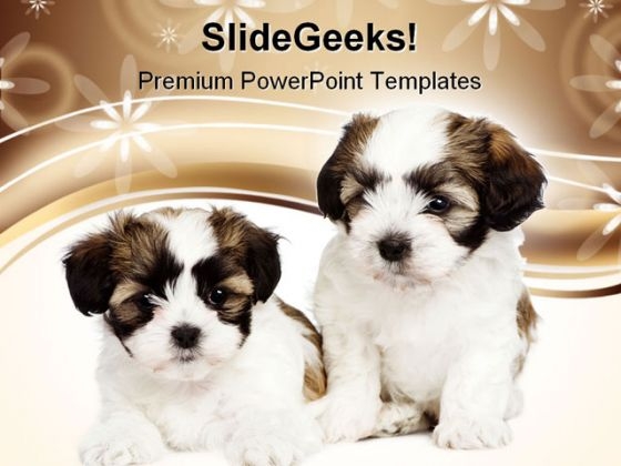 Puppy Dogs Animals PowerPoint Templates And PowerPoint Backgrounds 0611 Puppy Dogs Animals PowerPoint Templates And PowerPoint Backgrounds 0611