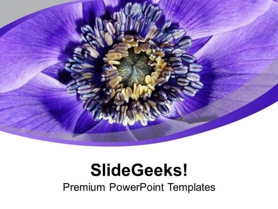 Purple Colored Flower Background PowerPoint Templates Ppt Backgrounds For Slides 0513