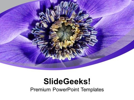 Purple Colored Flower Background PowerPoint Templates Ppt Backgrounds For Slides 0513 Purple Colored Flower Background PowerPoint Templates Ppt Backgrounds For Slides 0513