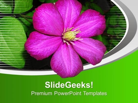 Purple Flower For Joy Theme PowerPoint Templates Ppt Backgrounds For Slides 0513